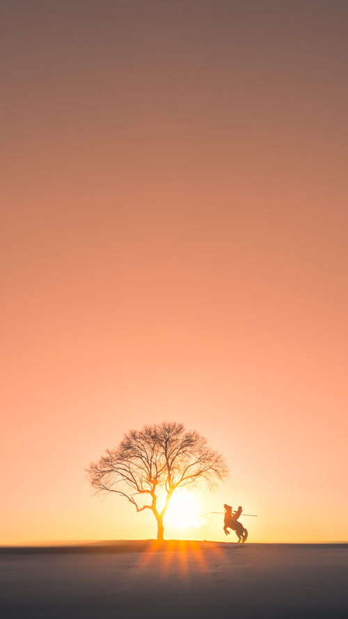 九游游戏中心下载-_新兴城市举办国际网球赛，推动本地体育发展_，新兴杯网球