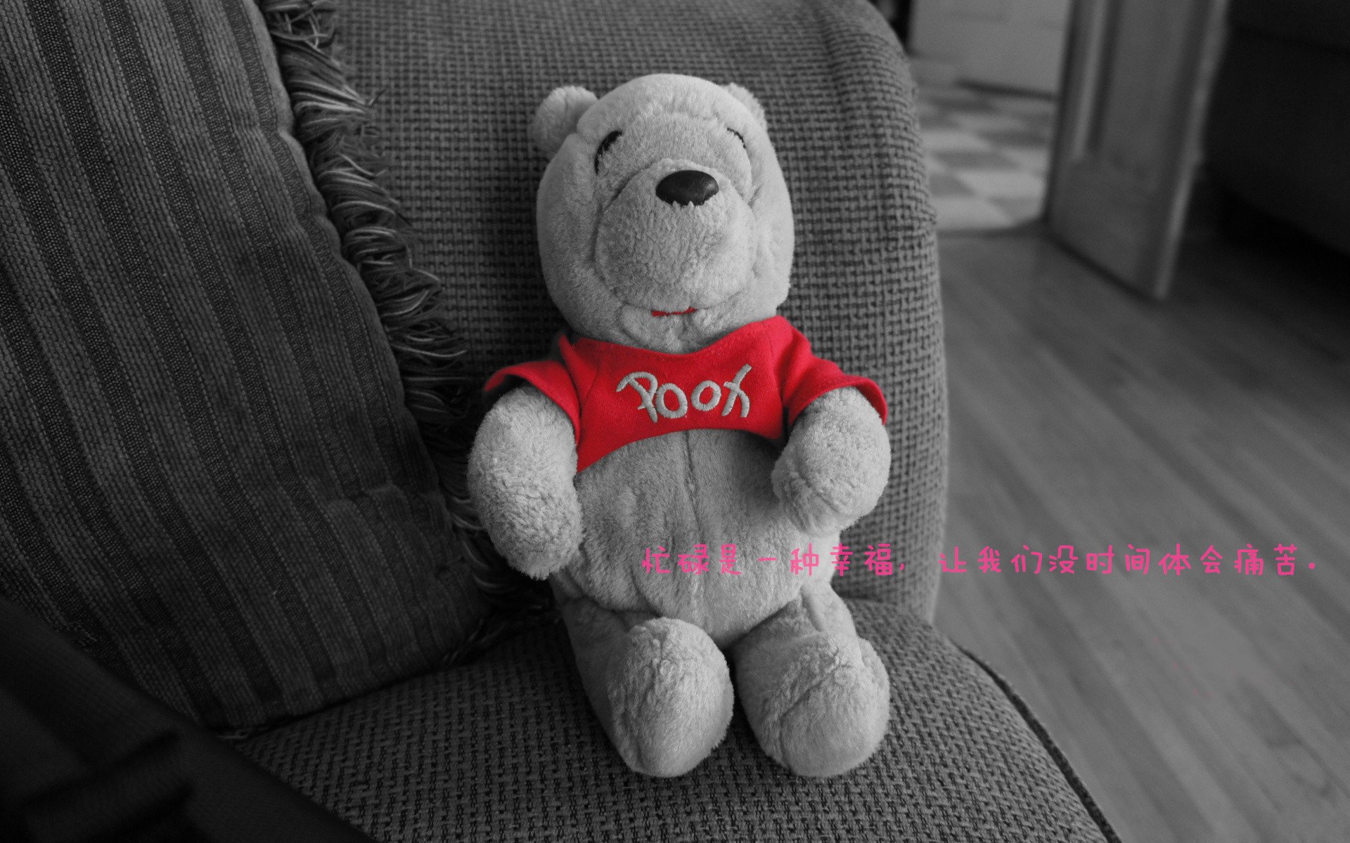 Jiu You-公牛稳步前行！，公牛新品发布